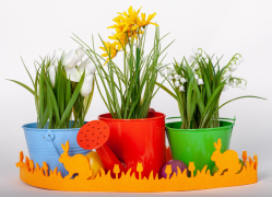 bouquet-de-fleurs 42 liste